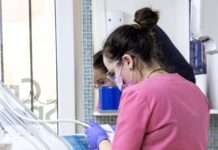 Implant dentar la Cris Smile Studio: parodontoza, sinus lift și cazurile complexe