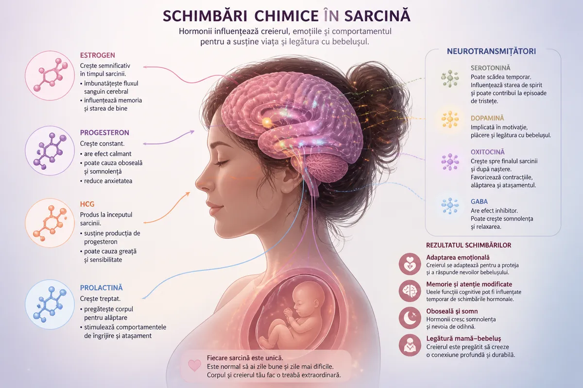 schimbări emoționale și hormonale în sarcină