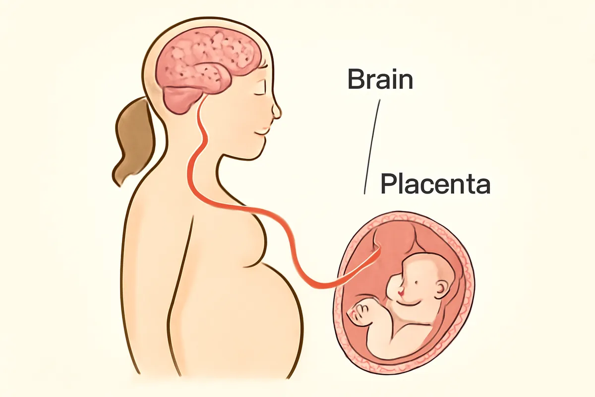 stres cronic sarcina efecte fiziologice mama si fat